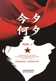 一只兔子走过的情路
