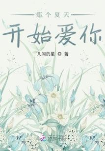 孤客的爱情