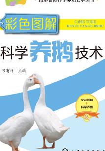 无情风雨之多情人