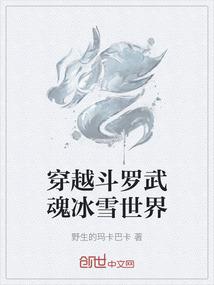 一载迷梦