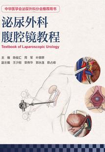 民国虐恋