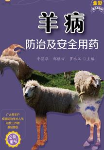从杀猪到顶流，我真是大明星