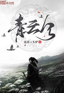 绝品盗帅
