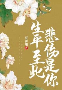 乔木可依