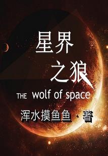 假如岁月有回声