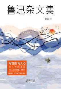 Y时空胶囊
