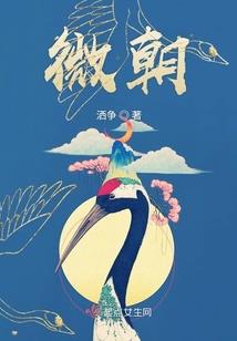 南柯踏九州