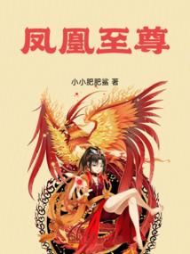 公子的强盗情人