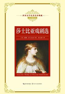 星级游侠