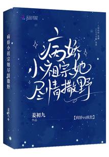 圣之幻想