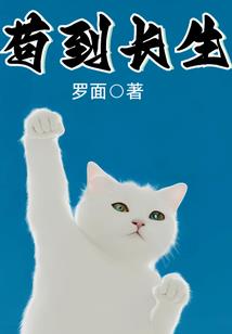境师