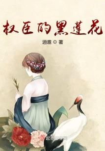 木齐木齐
