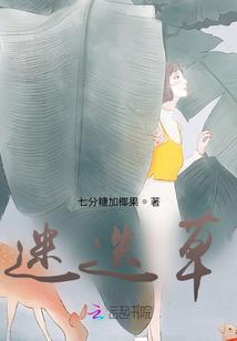 海贼之漫漫征途