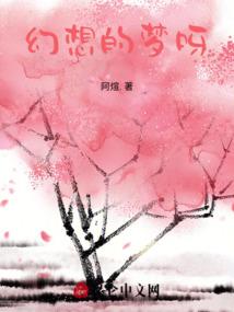 魔法师：革命