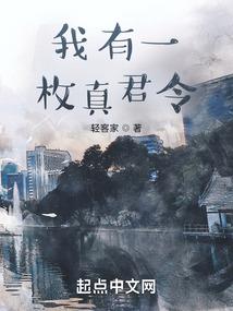 冰月情缘