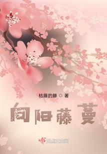 一揽拥怀