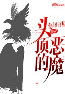 暖阳巧遇寒冰心