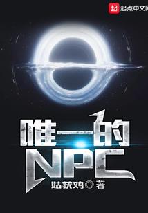 疯狂海丽波特