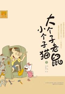 宠物小精灵之赤的传说