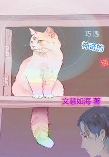 一路直奔总决赛