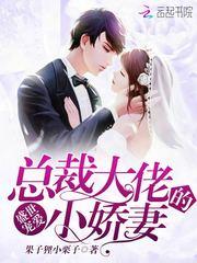 惊龙风云
