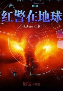 造假者