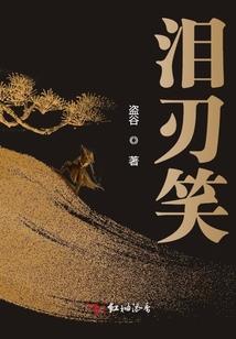 十三虎女闯三国