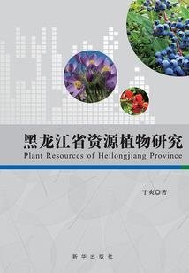 向光之影