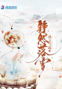 海贼王的冒险岛系统