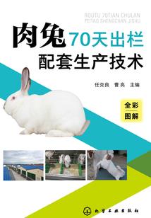 神州行云录