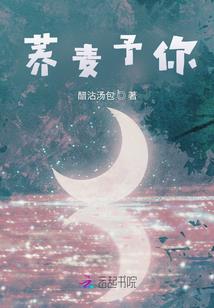 特殊外挂