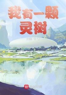 破纽约水电费