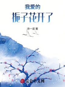 绝艺凡尘
