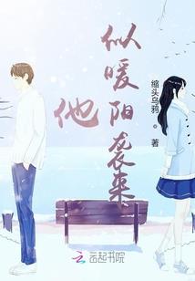 霸气总裁的霸气妻子