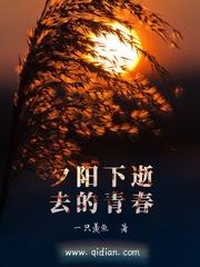 绝世阵法之失落之城