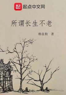 盗无可盗