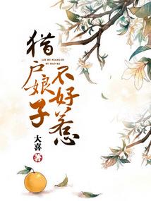 大道收藏集