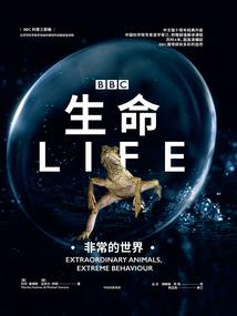 世界树：起源