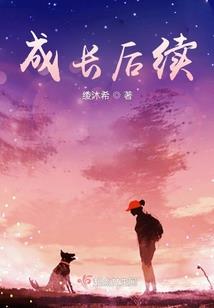 第三智慧体