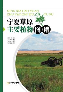 污神是怎样炼成的
