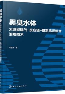 玻璃瓶中，白铜花束