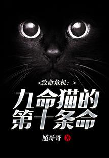幻灭残夜