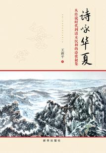 咸鱼的我不想反身有什么问题吗