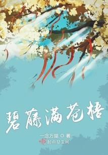 冷世丹心谱