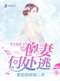 撩妻上瘾：总裁请关灯
