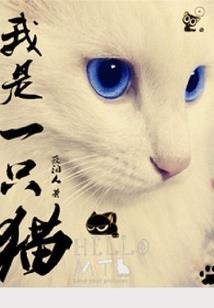 圣剑之域