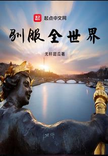网游之希望圣骑