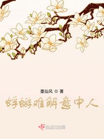 逆行的碎片