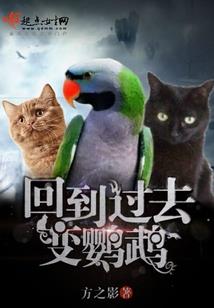 牛角巷里那些事儿