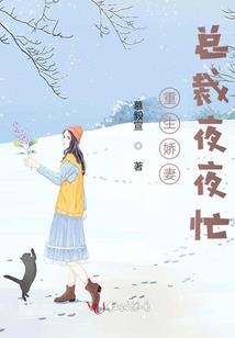 虚像界